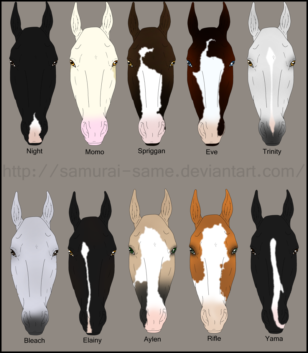 Проточина у лошади