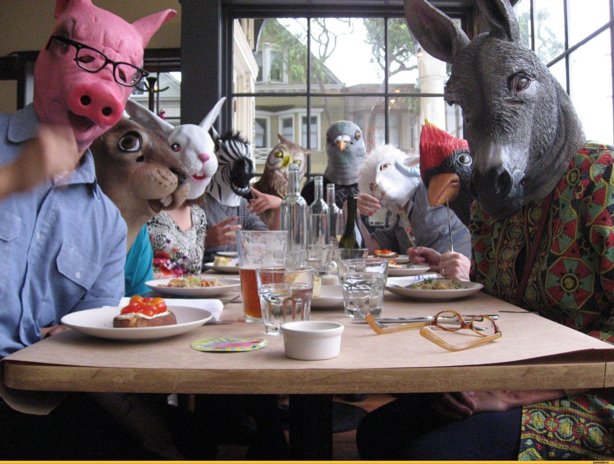 Хрюшка в квартире