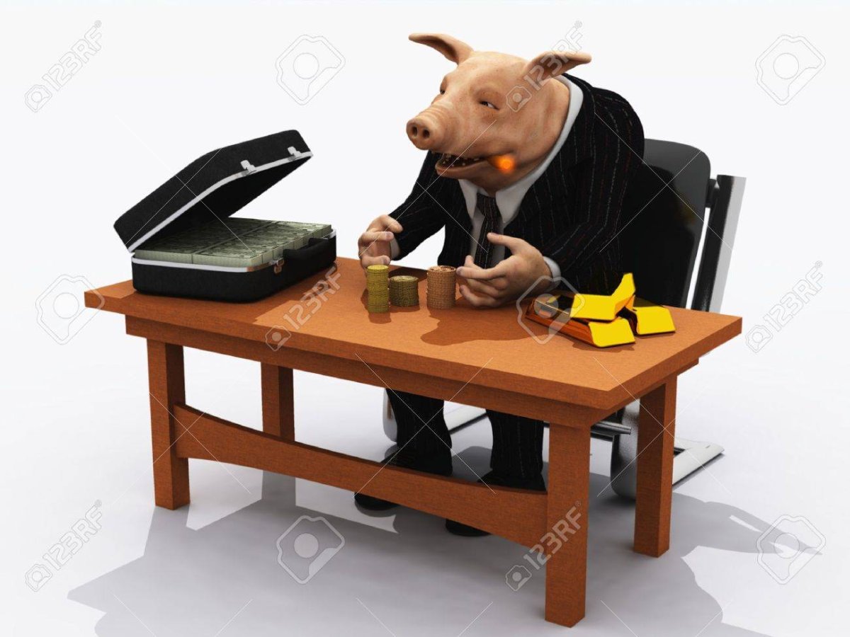 Свинья в офисе