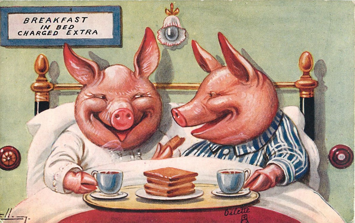 Свиньи за столом картина