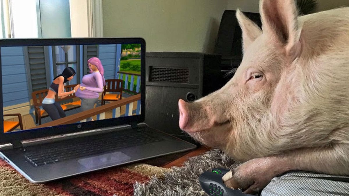 Хрюша за компьютером