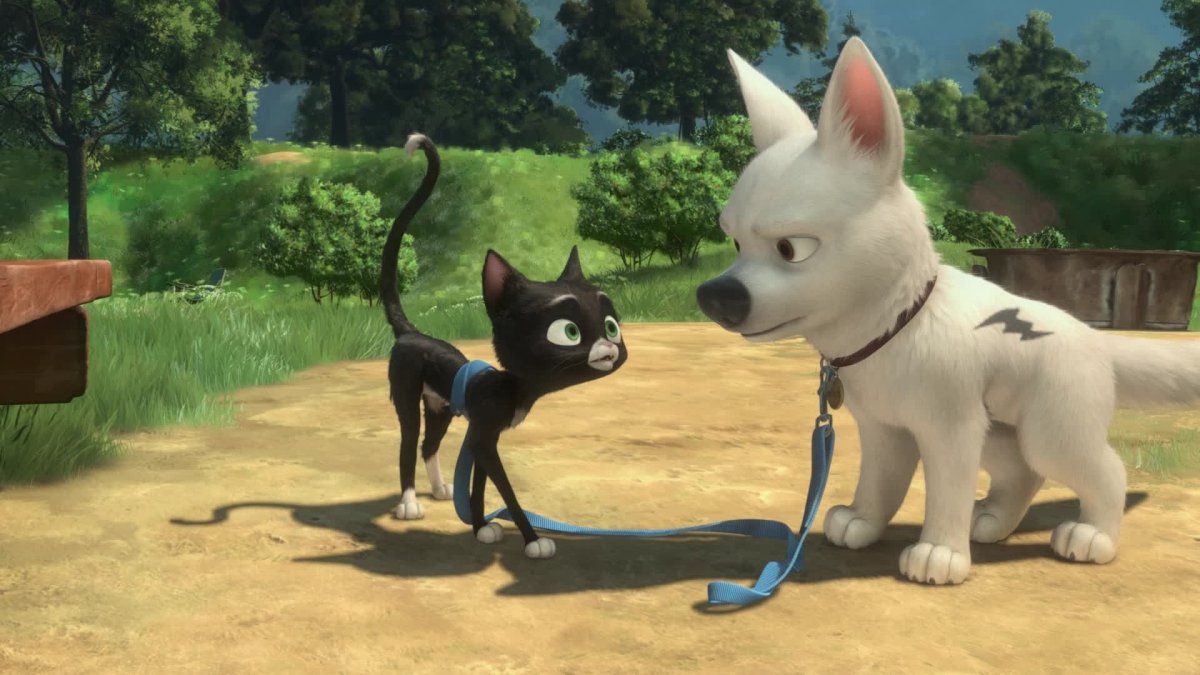 Сиба ину окрас