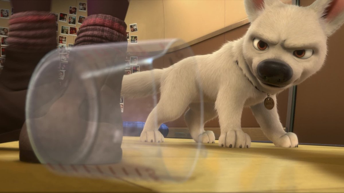 Белая швейцарская овчарка щенки