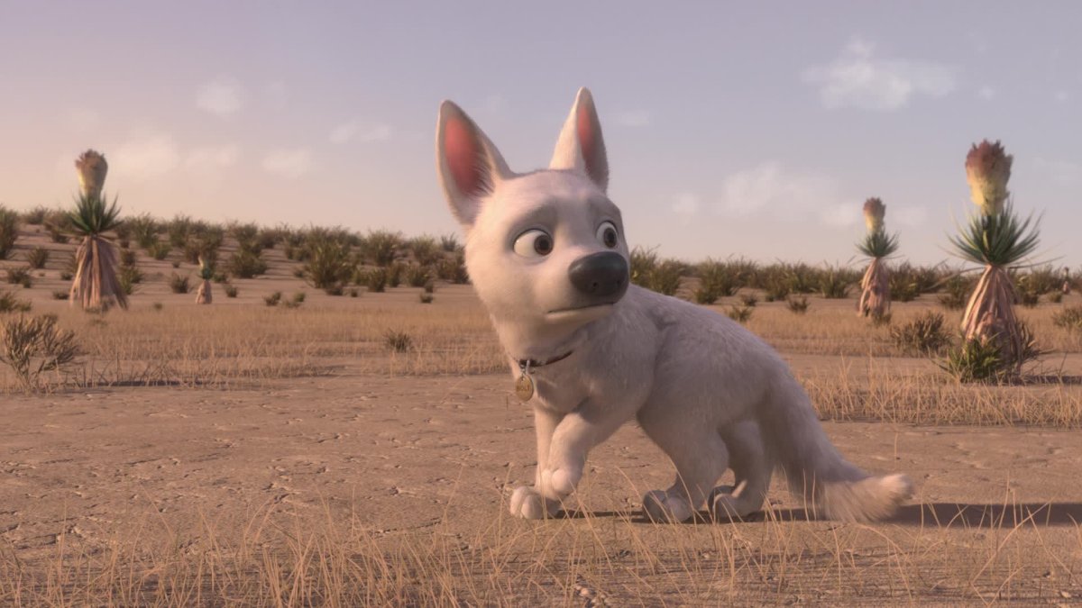 Кот с мультика вольт