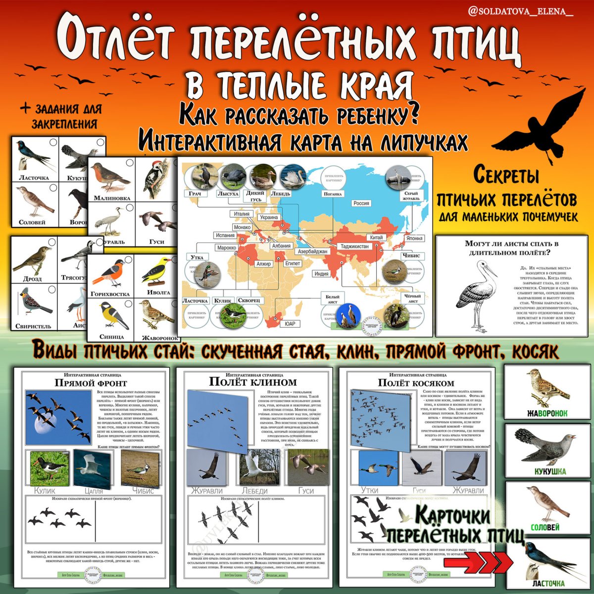 Интерактивная карта птицы