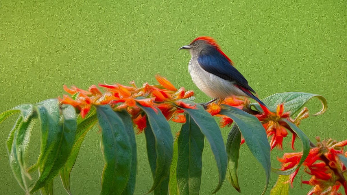 Птицы Макросъемка