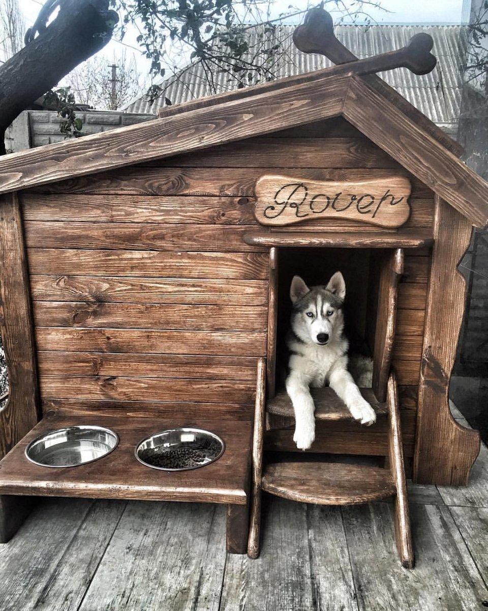 Прикольные домики для собак