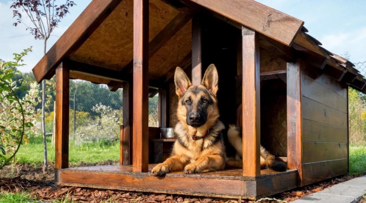 Будка для овчарки