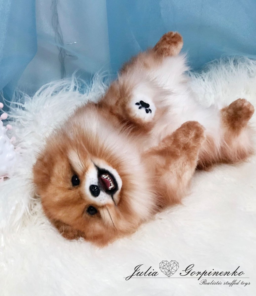 Кеесхонд вольфшпиц