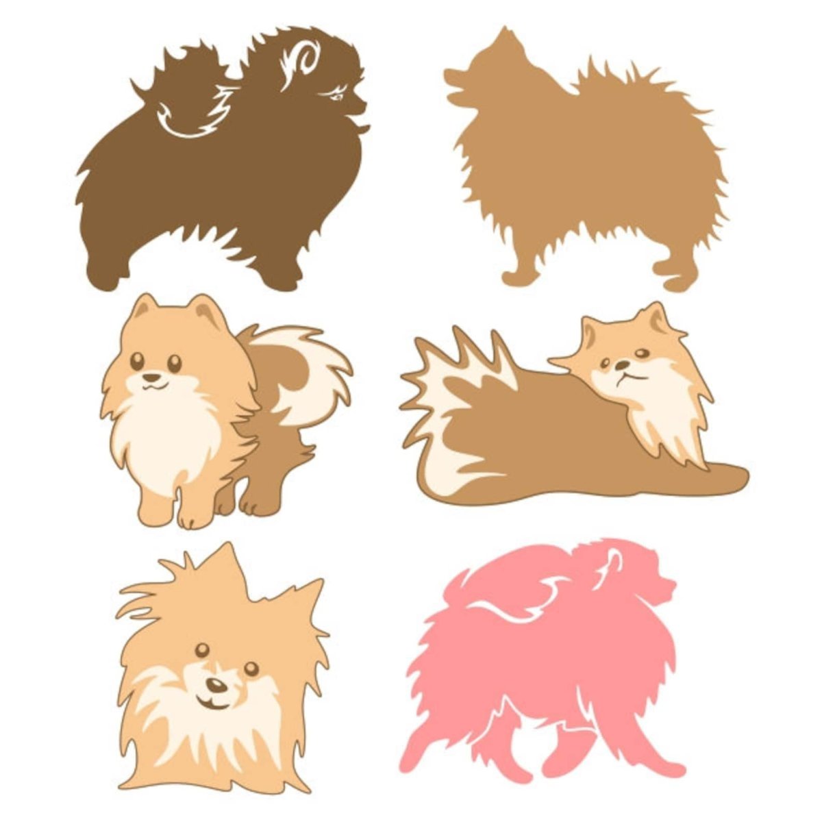 Померанский шпиц Браун