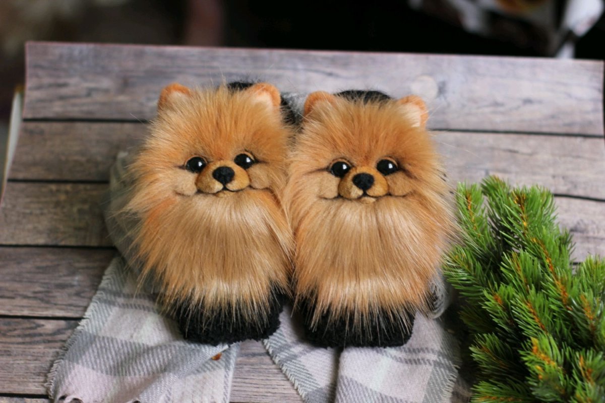 Самые милые Шпицы