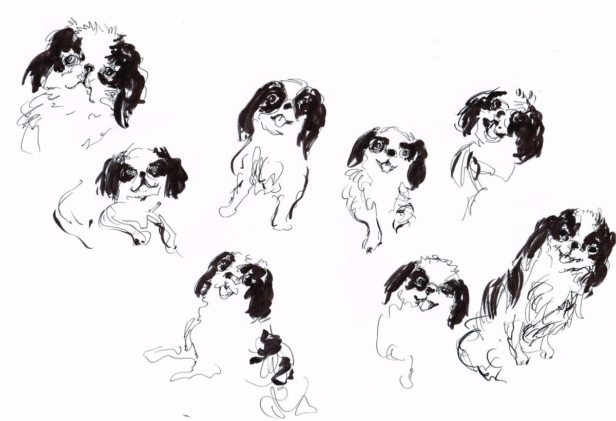 Японский Хин картина