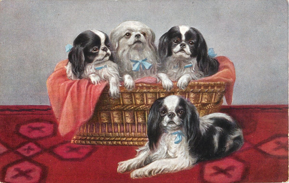 Пекинес мультяшный