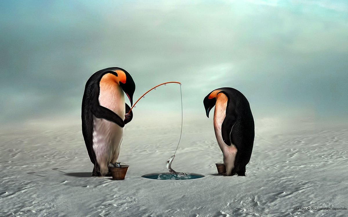 Прикольные пингвины