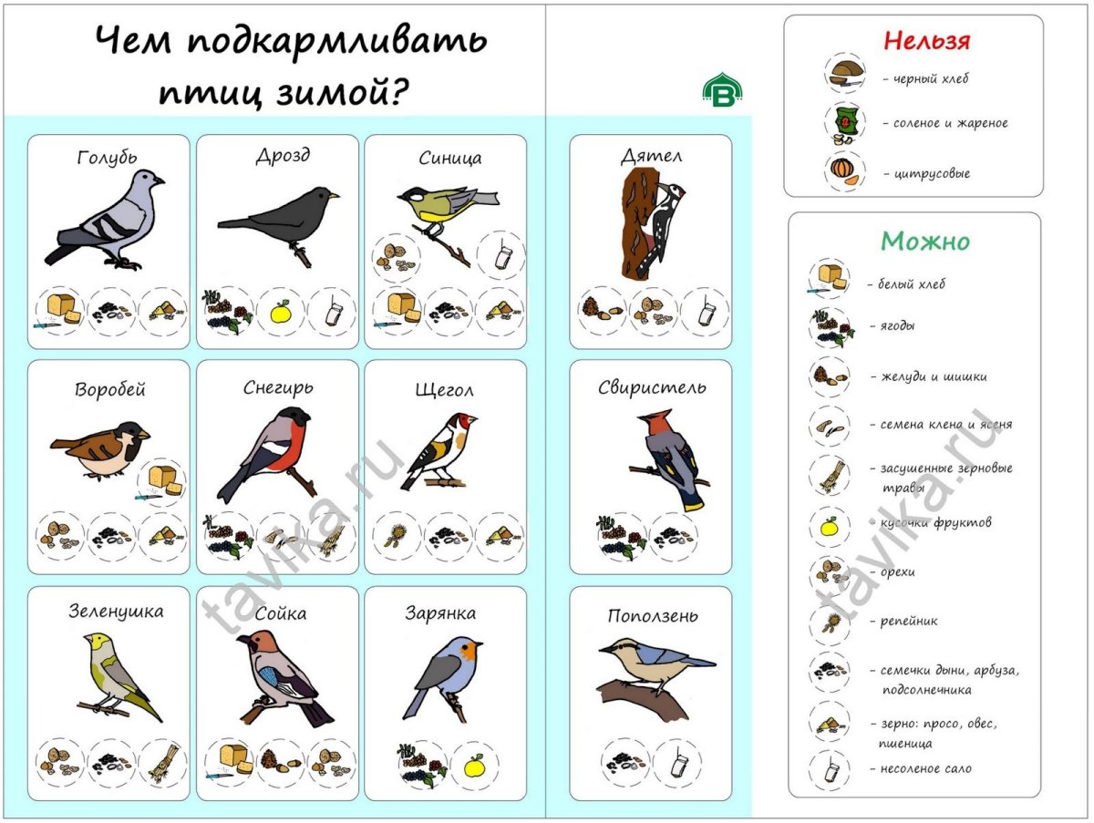 Хохлатый Снегирь