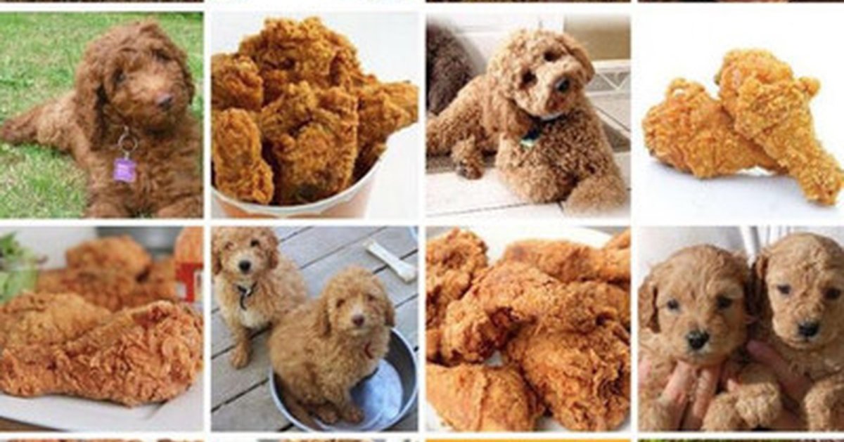 Собачки похожие на наггетсы
