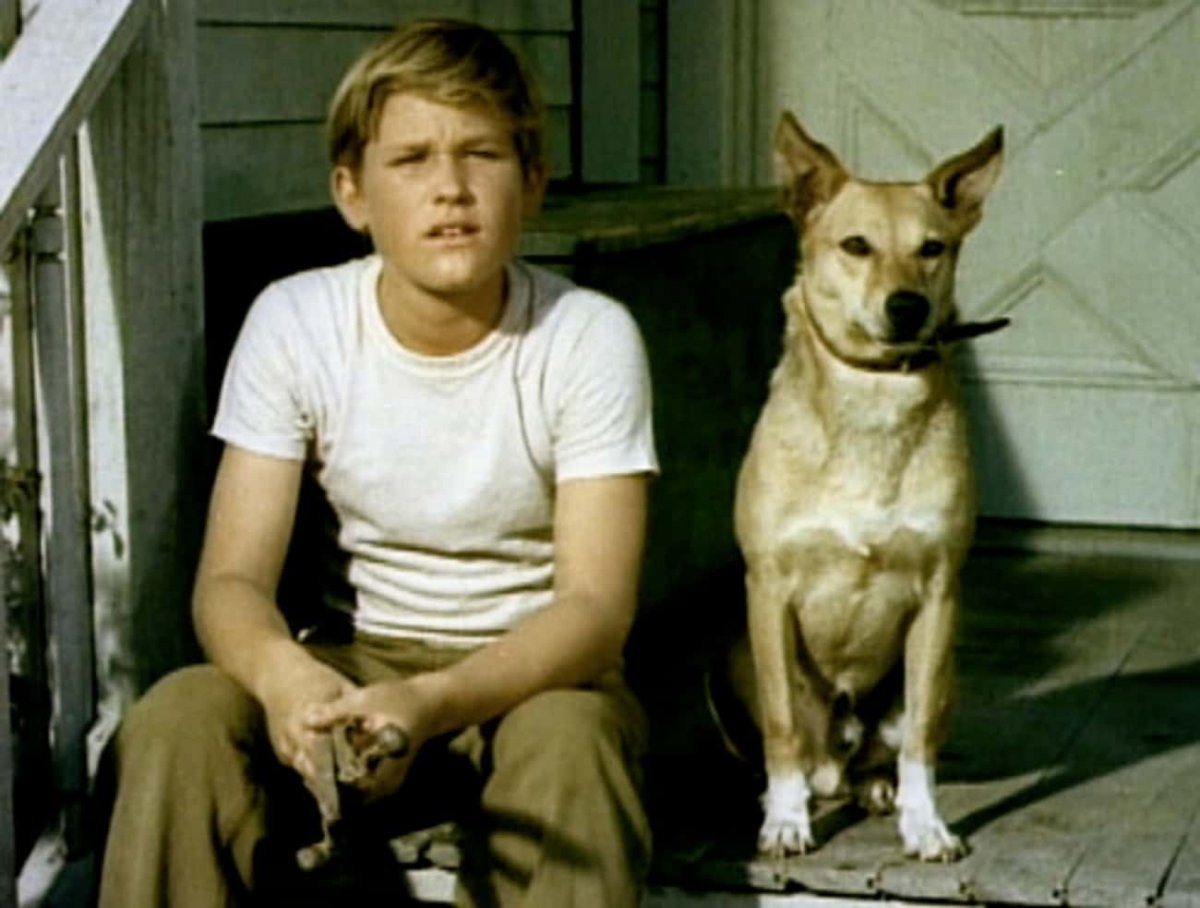 Джеймс Белуши k9