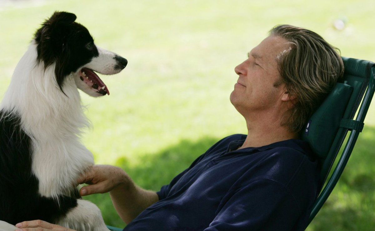 Рекс Джек Рассел