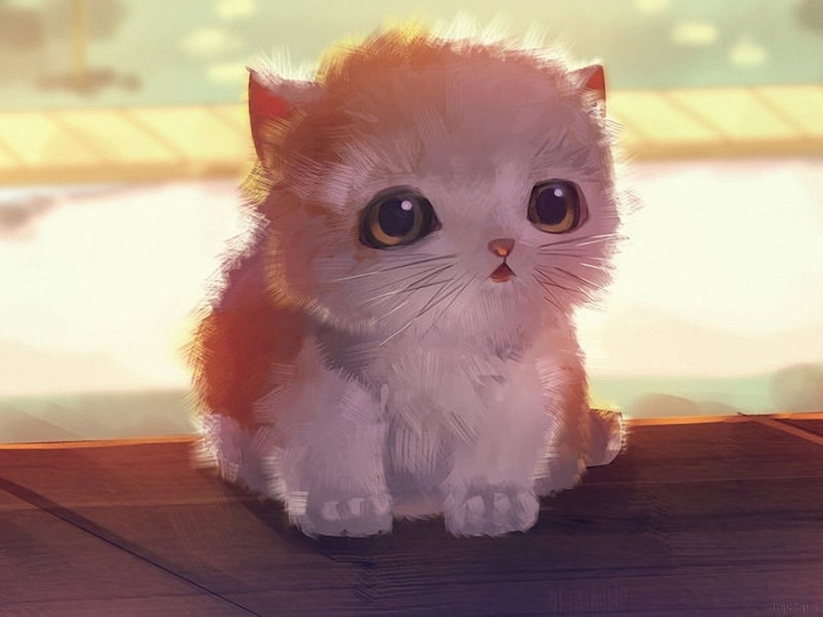 Милая кошка на аву в ВК