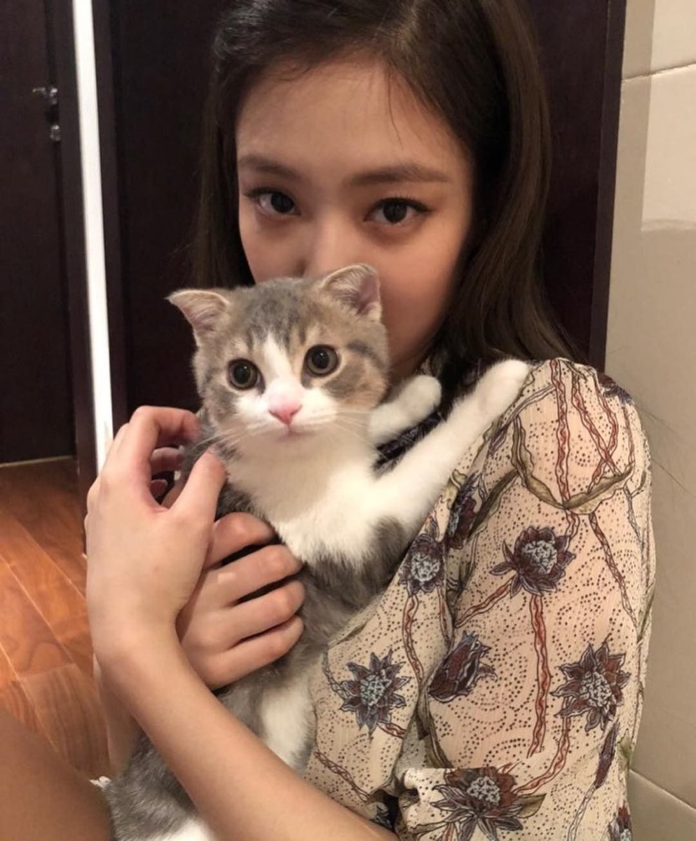 Jennie Kim Cat