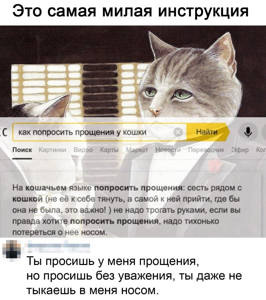 Гифка с котом