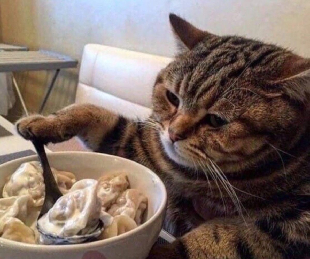 Мяукаю коту в ответ