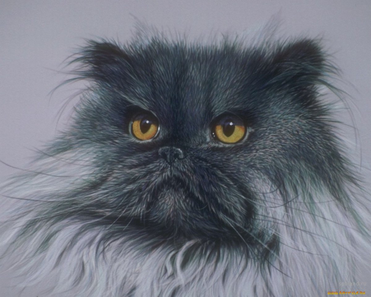 Седина в бороду бес в ребро