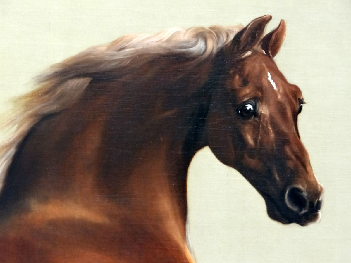 Джордж Стаббс Whistlejacket