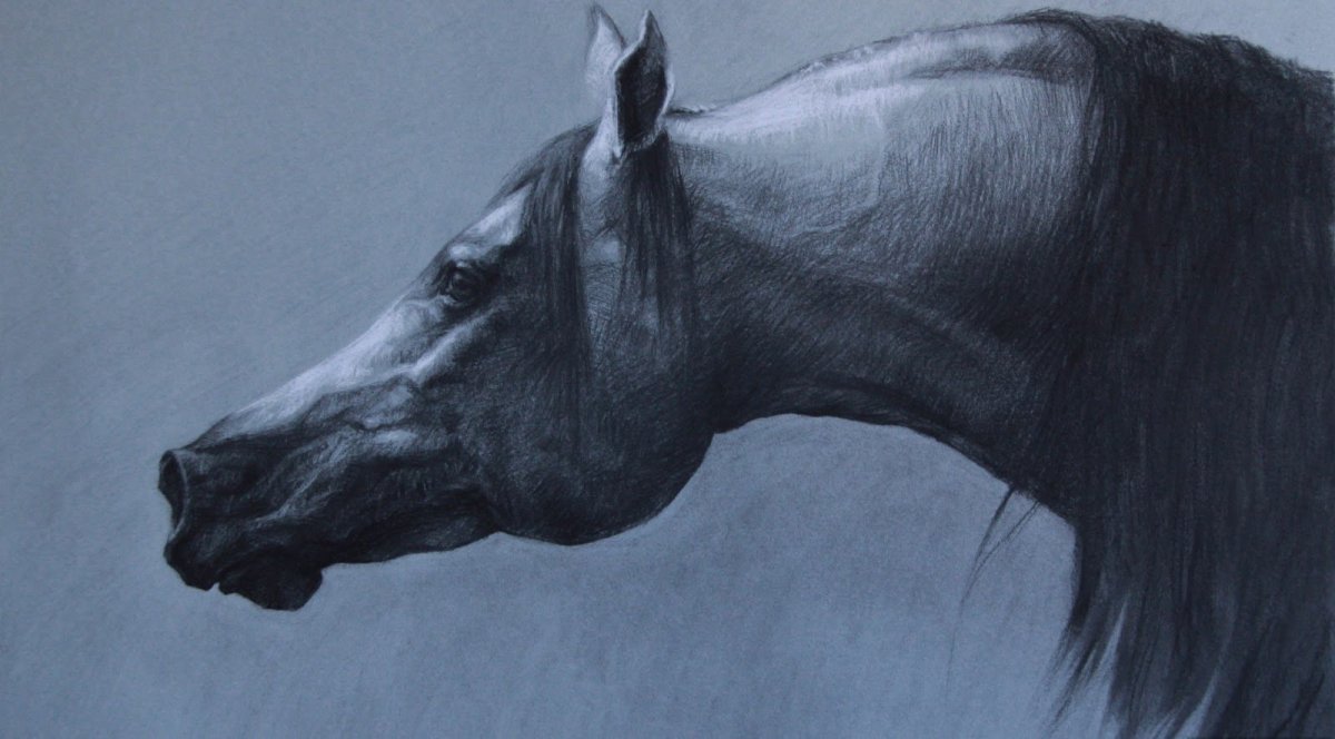 Голова коня