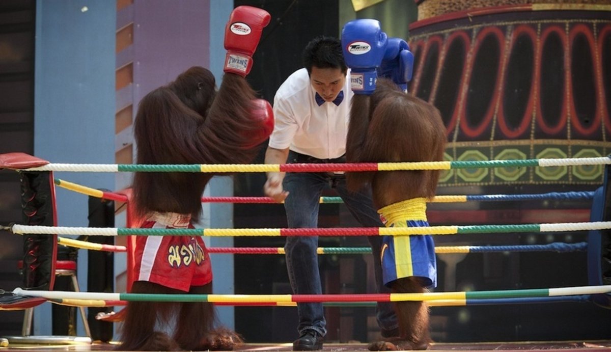 Картина три обезьяны