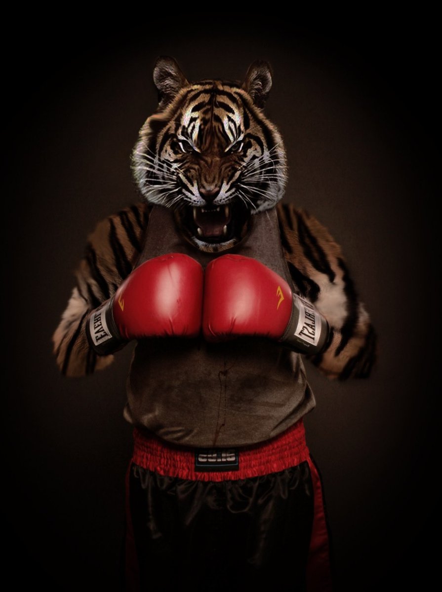 Джиу джитсу Лев