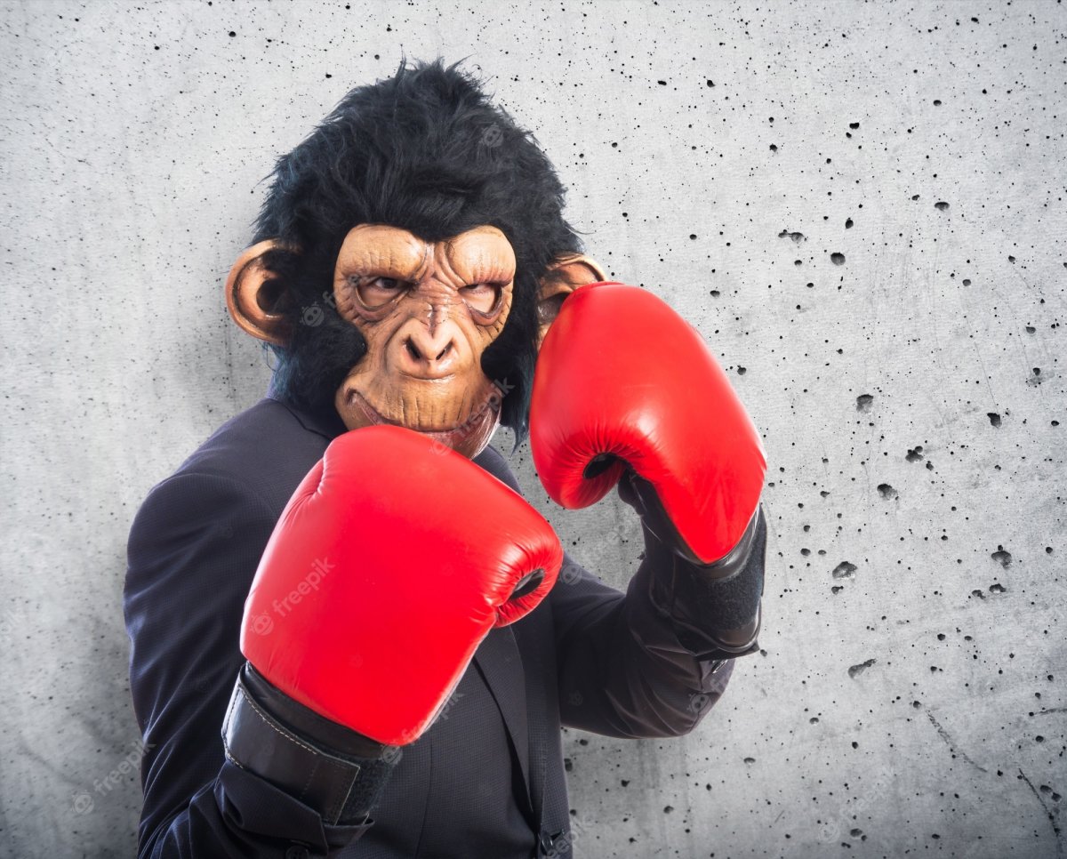 Обезьяны в Индии