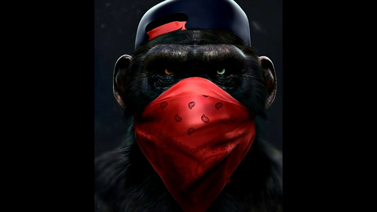 Эмоции персонажей животных