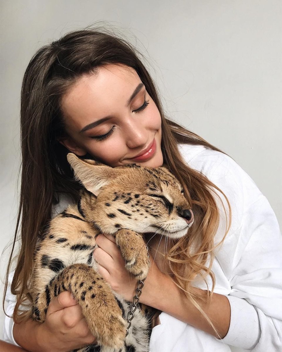 Забавная куница