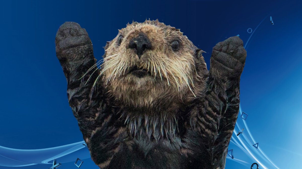 Выдра на рабочий стол