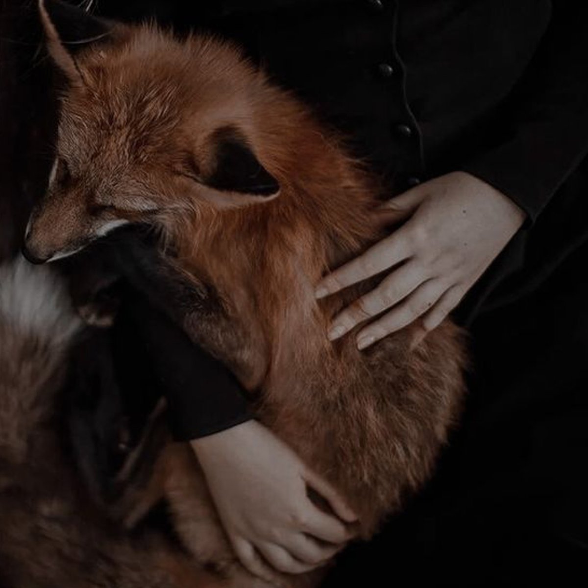 Гривистый волк