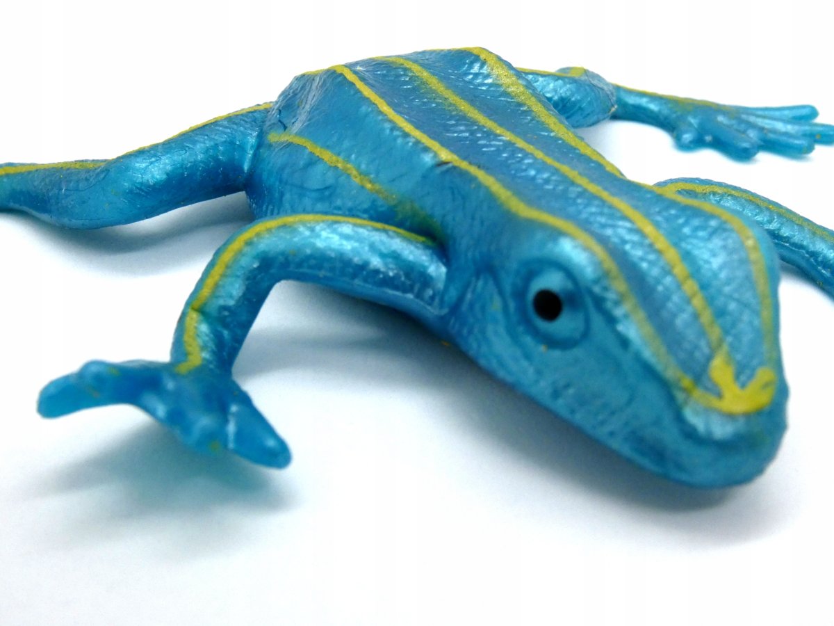 Лягушка голубая квакша