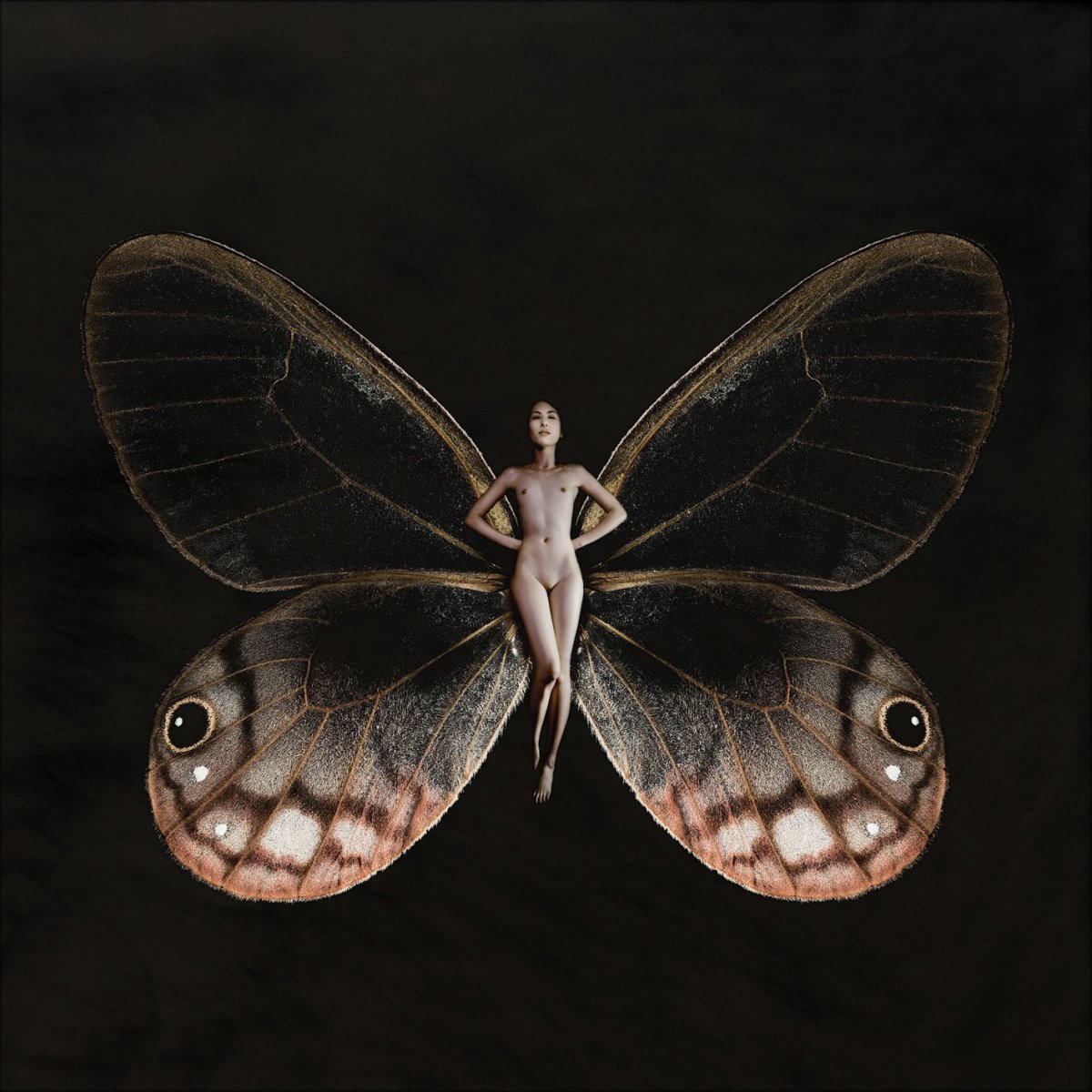 Карстен Витте черные бабочки