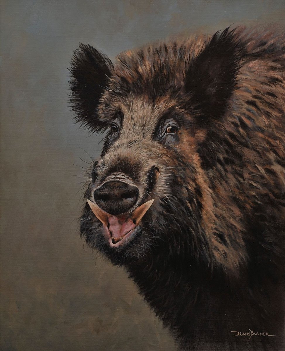 Вепрь кабан