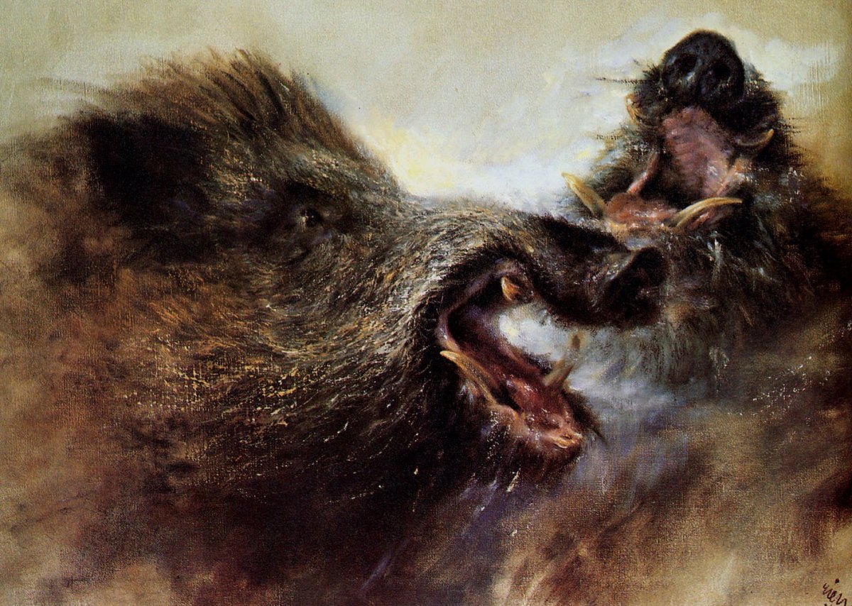 Разъяренный Вепрь секач