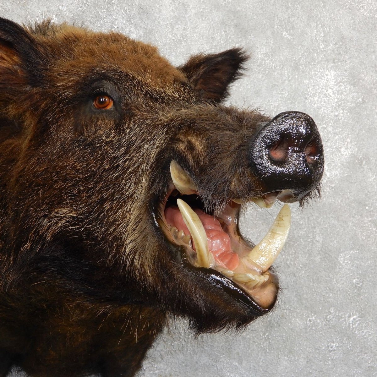 Художник Рин Поортвлит