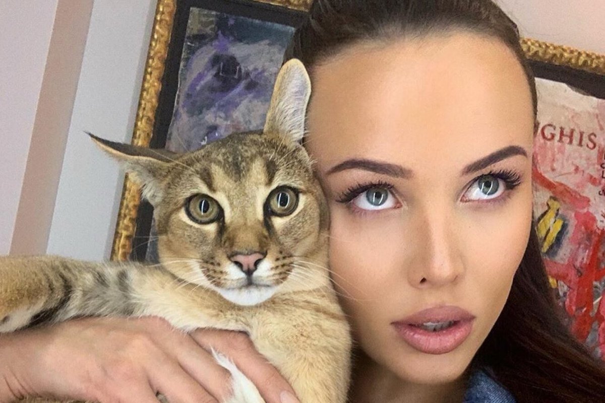 Чаузи Тимати