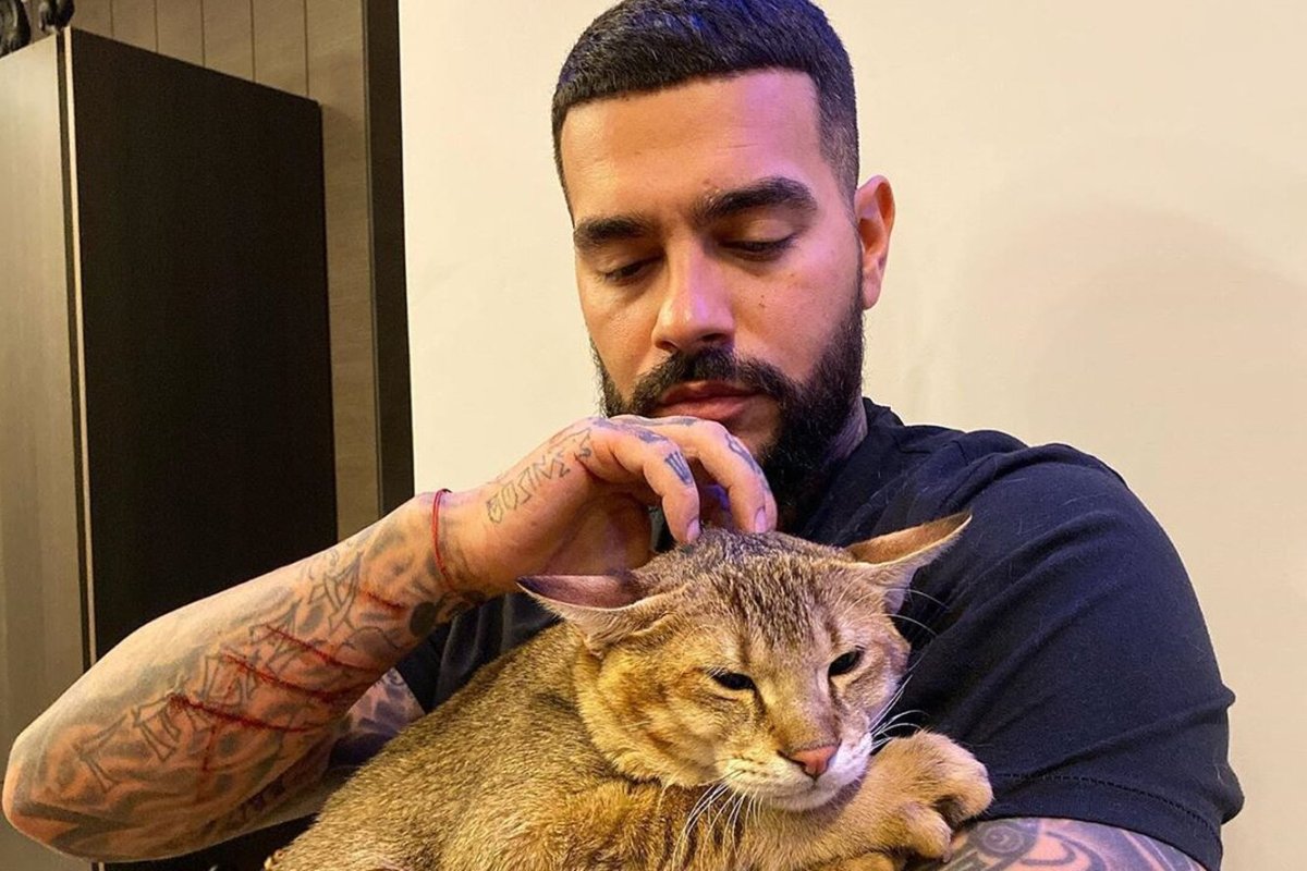 Кот Тимати Хусейн