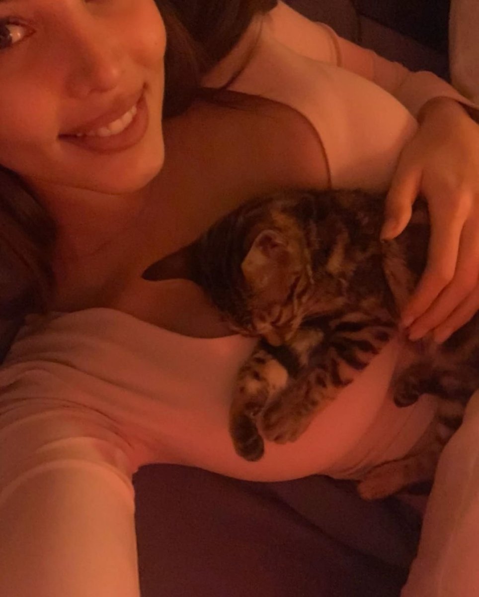 Кот Тимати Хусейн