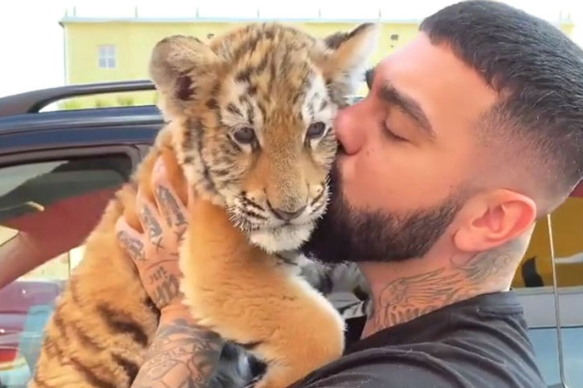 Животные Тимати