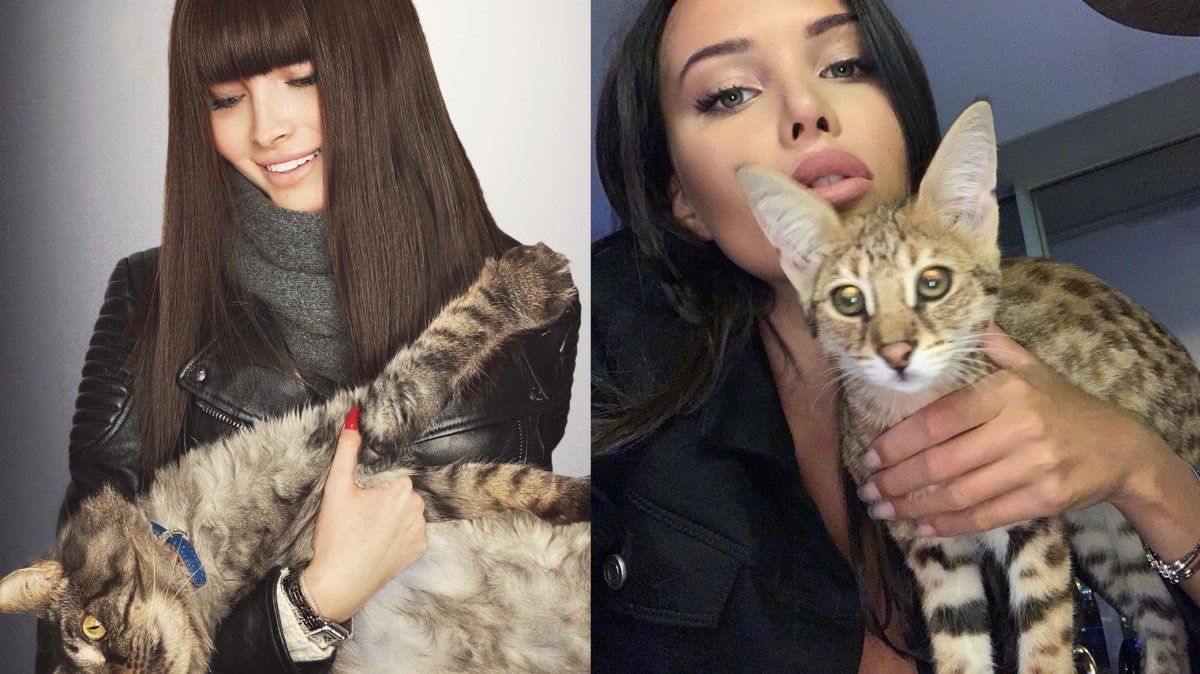 Чаузи Тимати