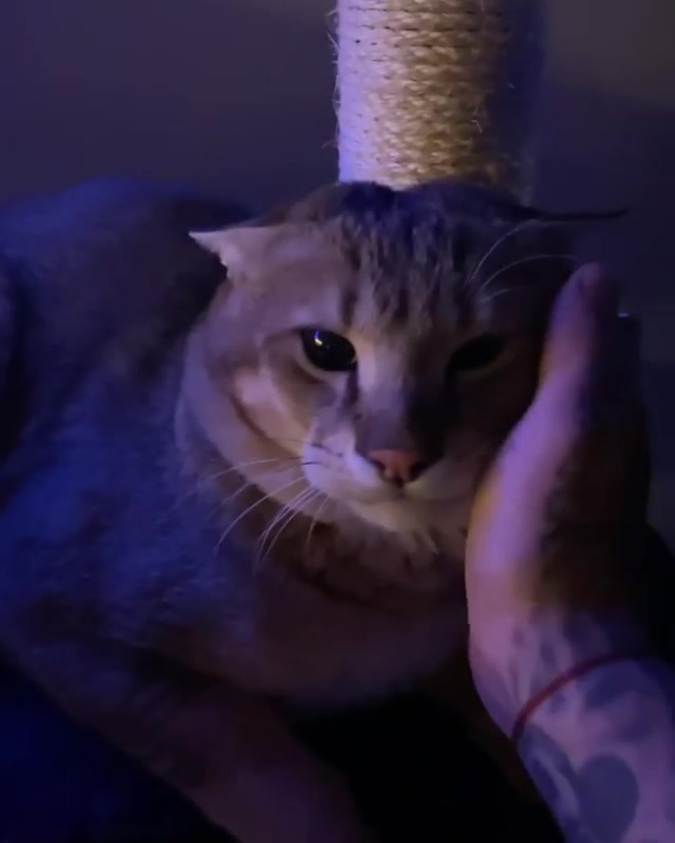 Чаузи Тимати