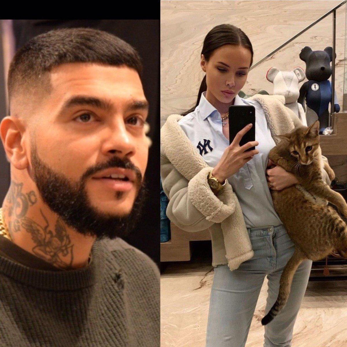 Коты тимати