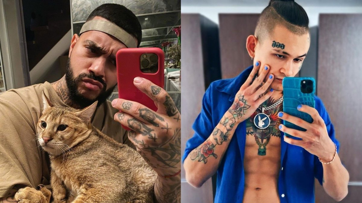 Кот Анастасии Решетовой