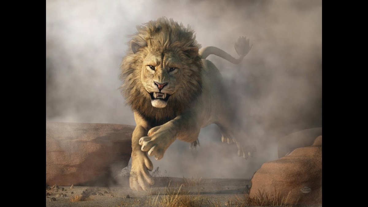 Львица на голове у Льва